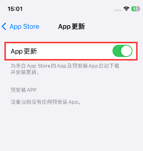 儋州苹果15维修中心如何让iPhone15APP自动更新