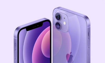 儋州苹果手机维修分享紫色版iPhone 12有什么技术亮点 