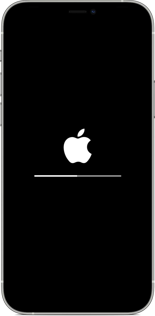儋州苹果手机维修分享iPhone 12 无法更新系统、出现报错的解决办法 