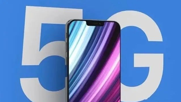 儋州苹果手机维修分享iPhone12 pro怎么显示5G 